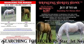 SEARCHING FOR EQUINES Star, Jet Near Bonifay, FL, 32425